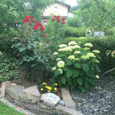 Apartment Am Reilsbach 1