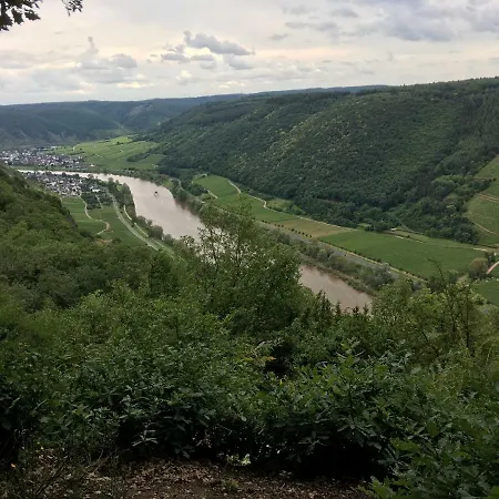 Am Reilsbach 1 Apartment Cochem